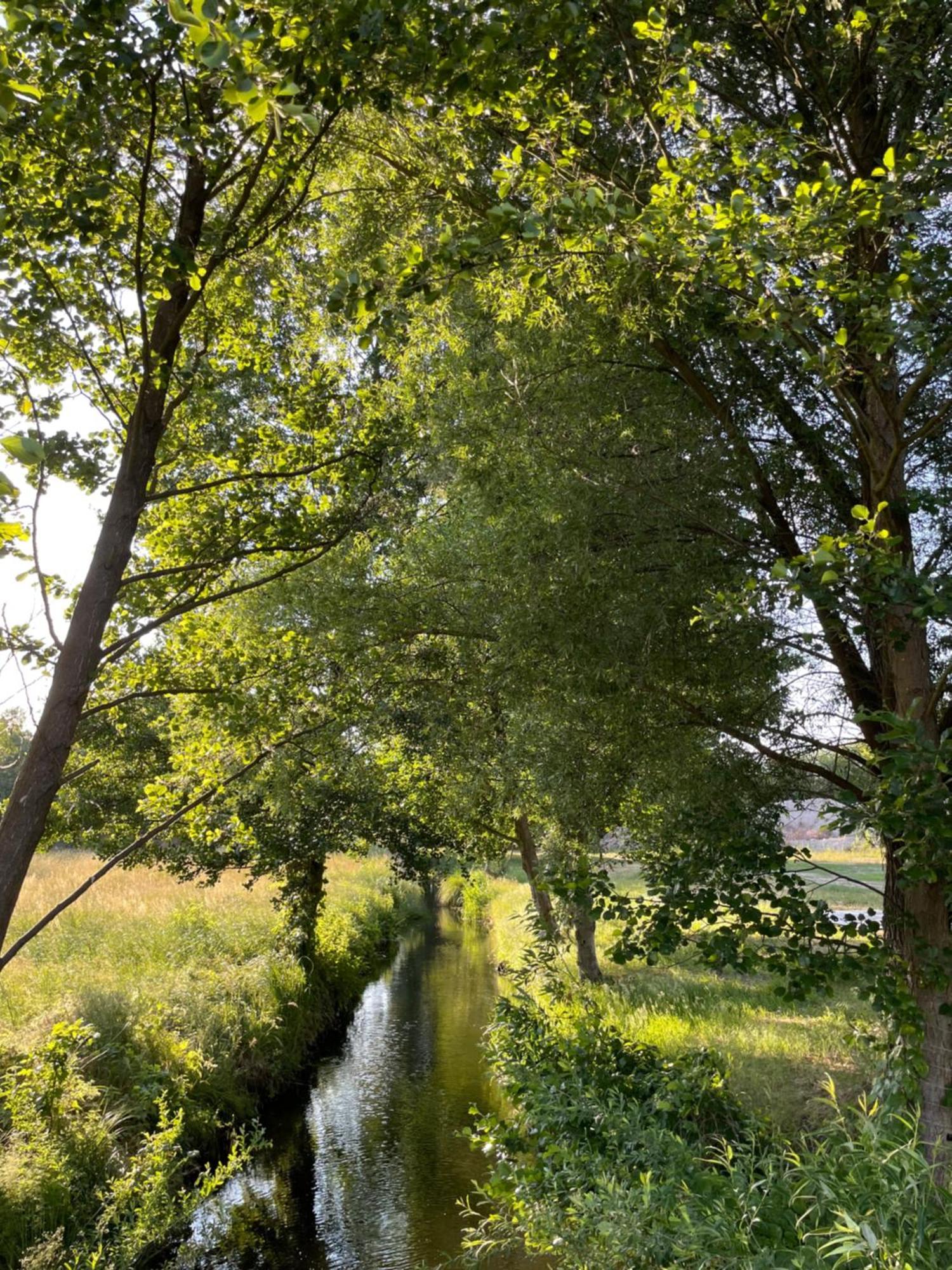 Guesthouse With 3 Apartments, Just Outside Berlin, Near To Tesla Burig 외부 사진